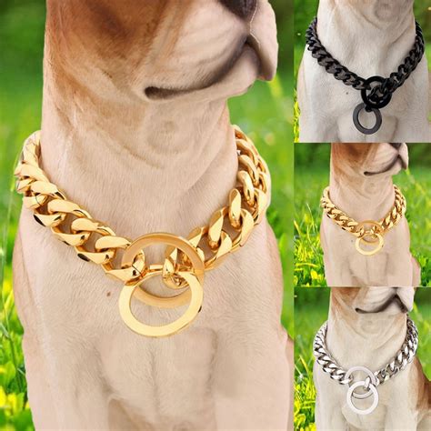 metal chain dog collars|More.